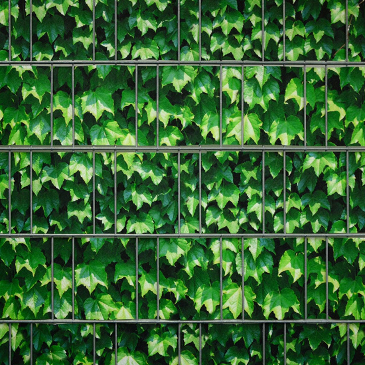 A8777_Sichtschutzstreifen_bedruckt_fuer_Stabgitterzaun_Weinblatt_gruen-_4_1280x1280.jpg