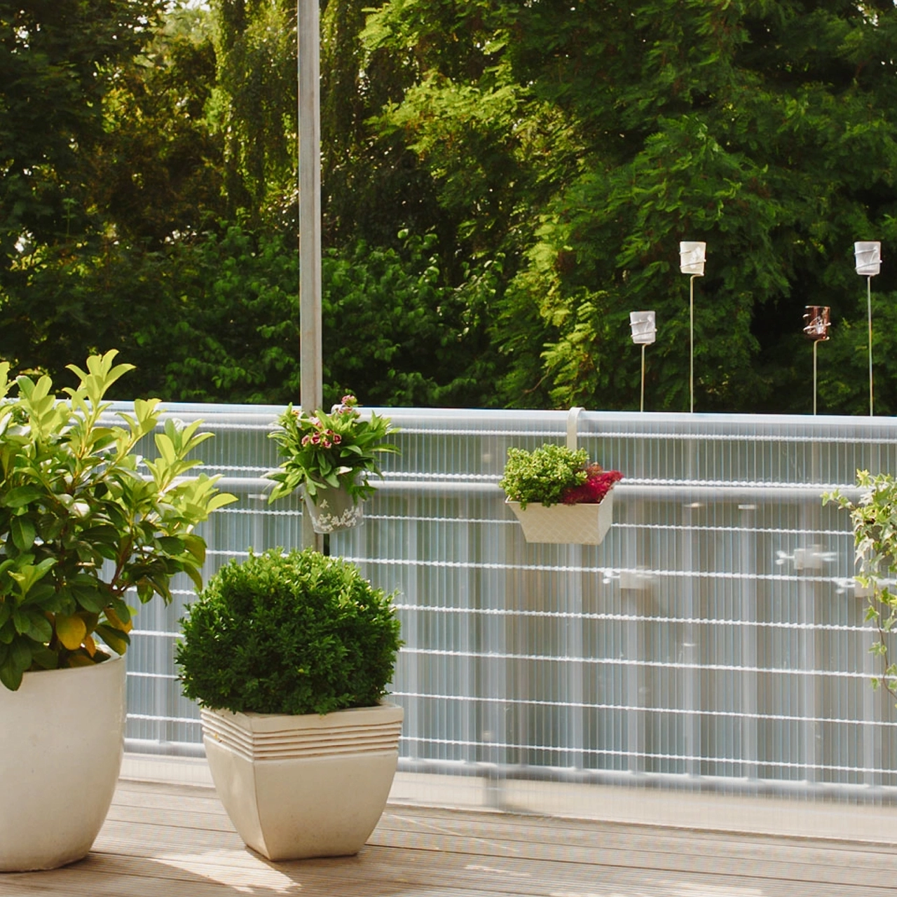 Sichtschutzmatte SUNLINE, transparent 