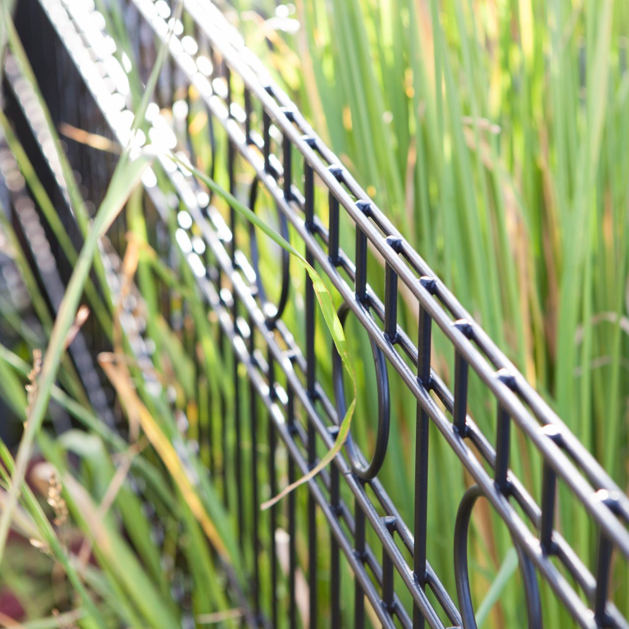 A14727_Doppelstab_Schmuckzaun_ROM_83cm_anthrazit_2_1280x1280.jpg